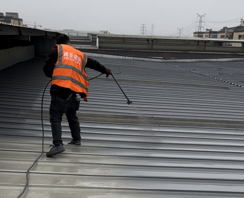 �����������ᱣ��